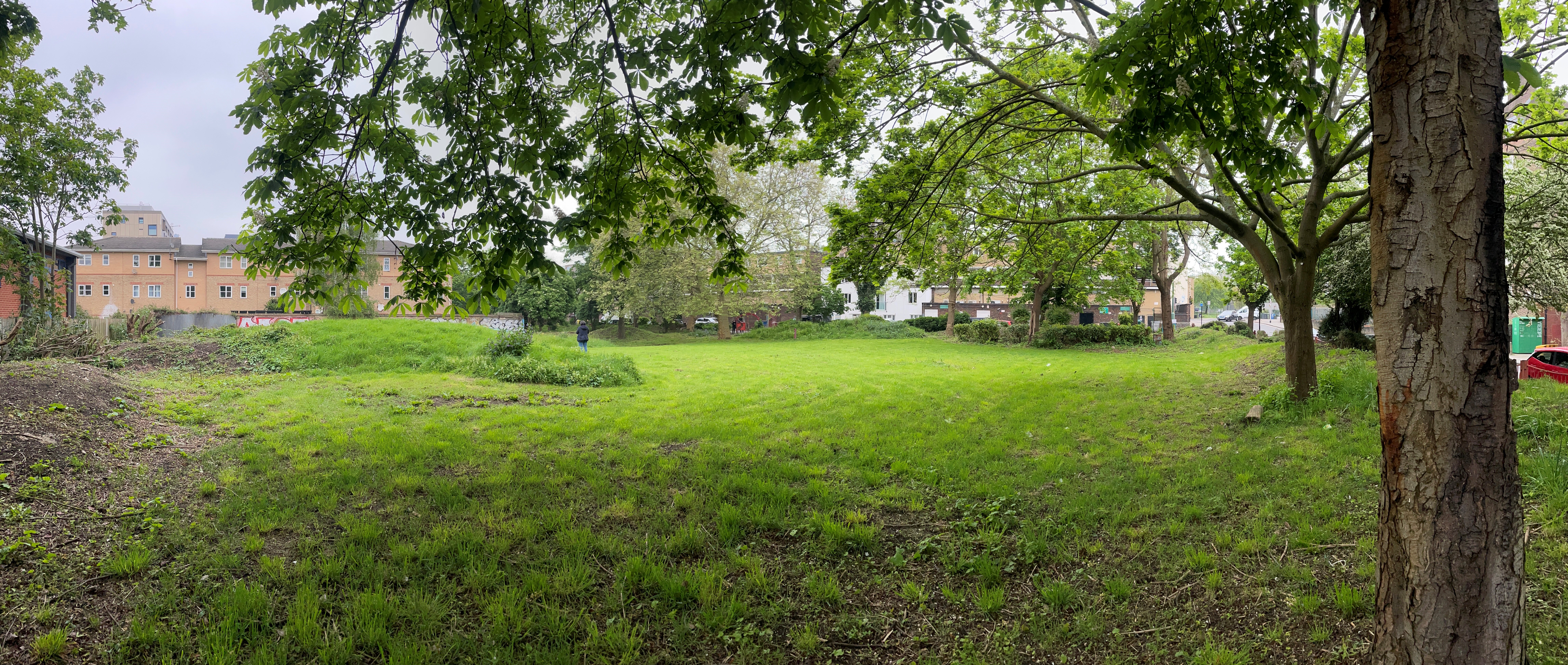 Image of oasis green space