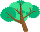 Picture of a tree